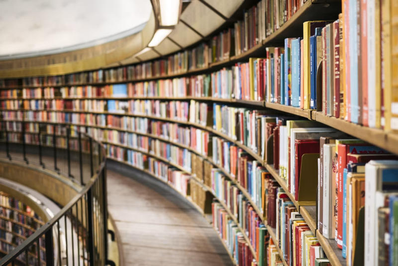 Разработчики ИИ стали закупать бумажные книги для обучения моделей — а после эти книги уничтожаются