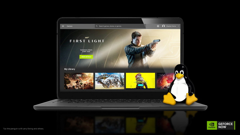 Нативное приложение GeForce Now для Linux вышло из беты, а у генератора кадров понизились задержки