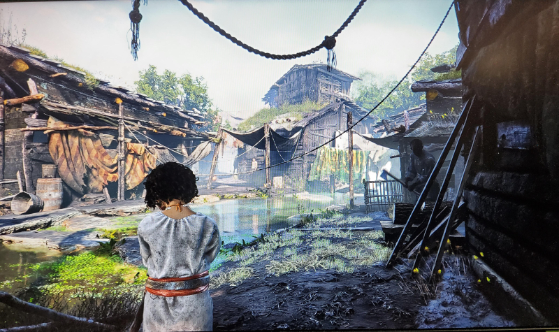 Resonance: A Plague Tale Legacy попала в руки пиратов за целую неделю до официального релиза